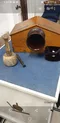 carousel chooser